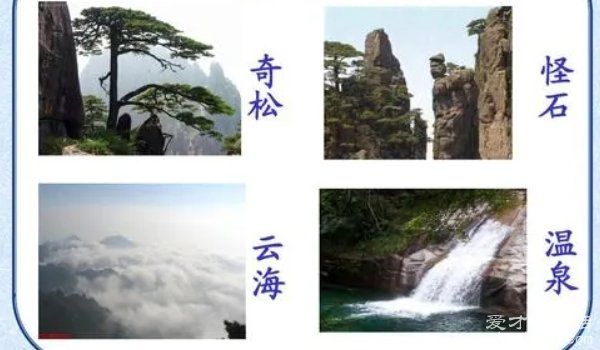 黄山四绝有哪些 奇松怪石云海温泉（奇松为黄山招牌）