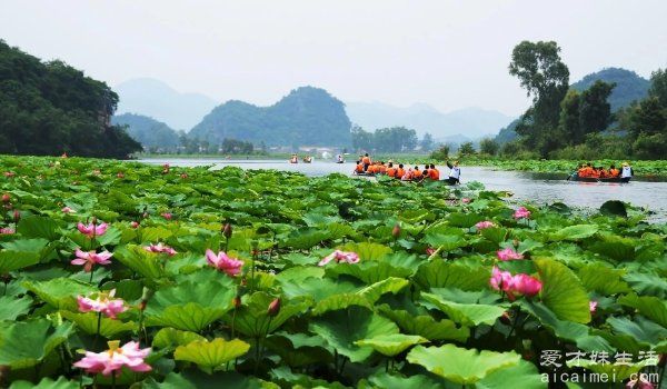 普者黑在云南什么地方 云南丘北县（三生三世取景地）