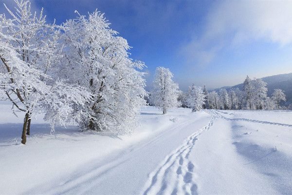 北京迎虎年初雪 初雪的寓意和象征