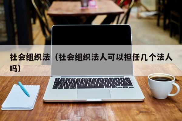 社会组织法（社会组织法人可以担任几个法人吗）