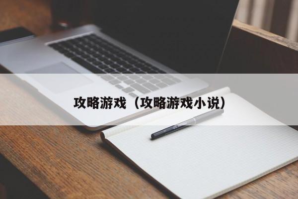 攻略游戏（攻略游戏小说）