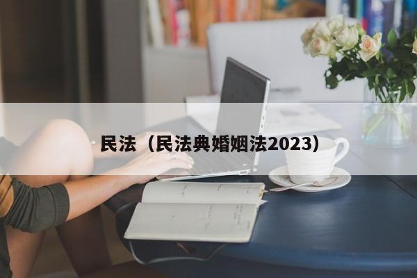 民法（民法典婚姻法2023）