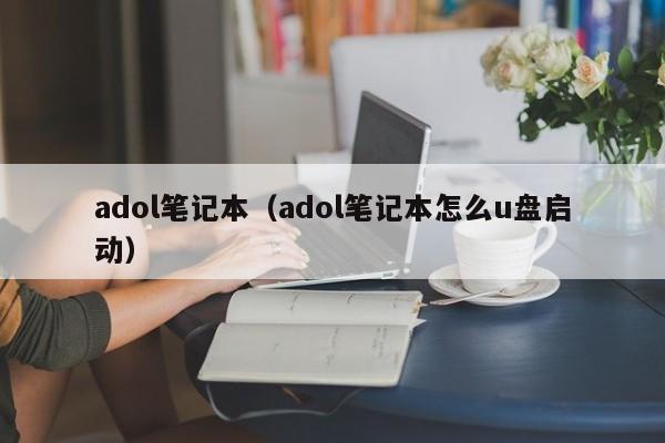 adol笔记本（adol笔记本怎么u盘启动）