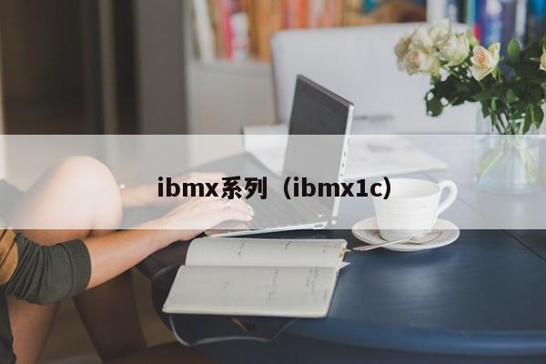 ibmx系列（ibmx1c）