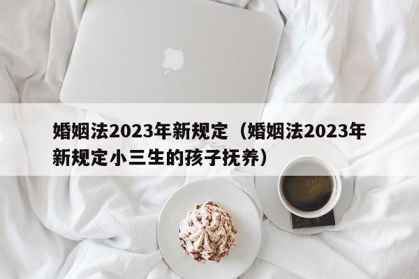 婚姻法2023年新规定（婚姻法2023年新规定小三生的孩子抚养）