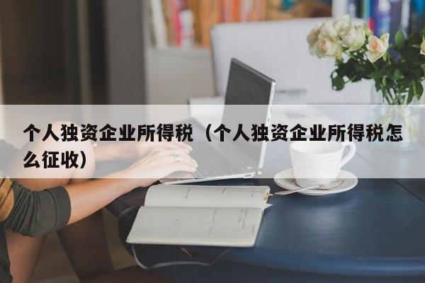 个人独资企业所得税（个人独资企业所得税怎么征收）