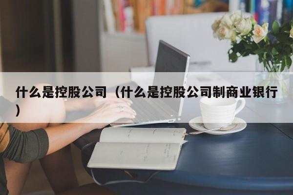 什么是控股公司（什么是控股公司制商业银行）