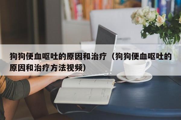 狗狗便血呕吐的原因和治疗（狗狗便血呕吐的原因和治疗方法视频）