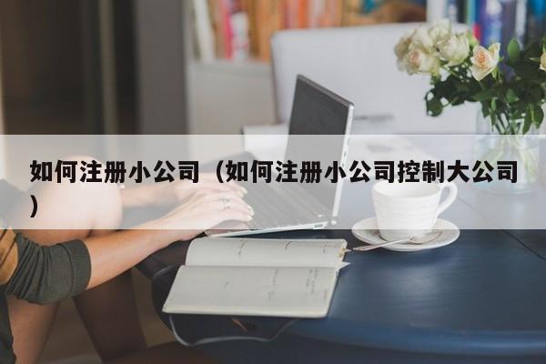 如何注册小公司（如何注册小公司控制大公司）