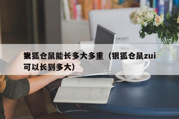 银狐仓鼠能长多大多重（银狐仓鼠zui
大可以长到多大）